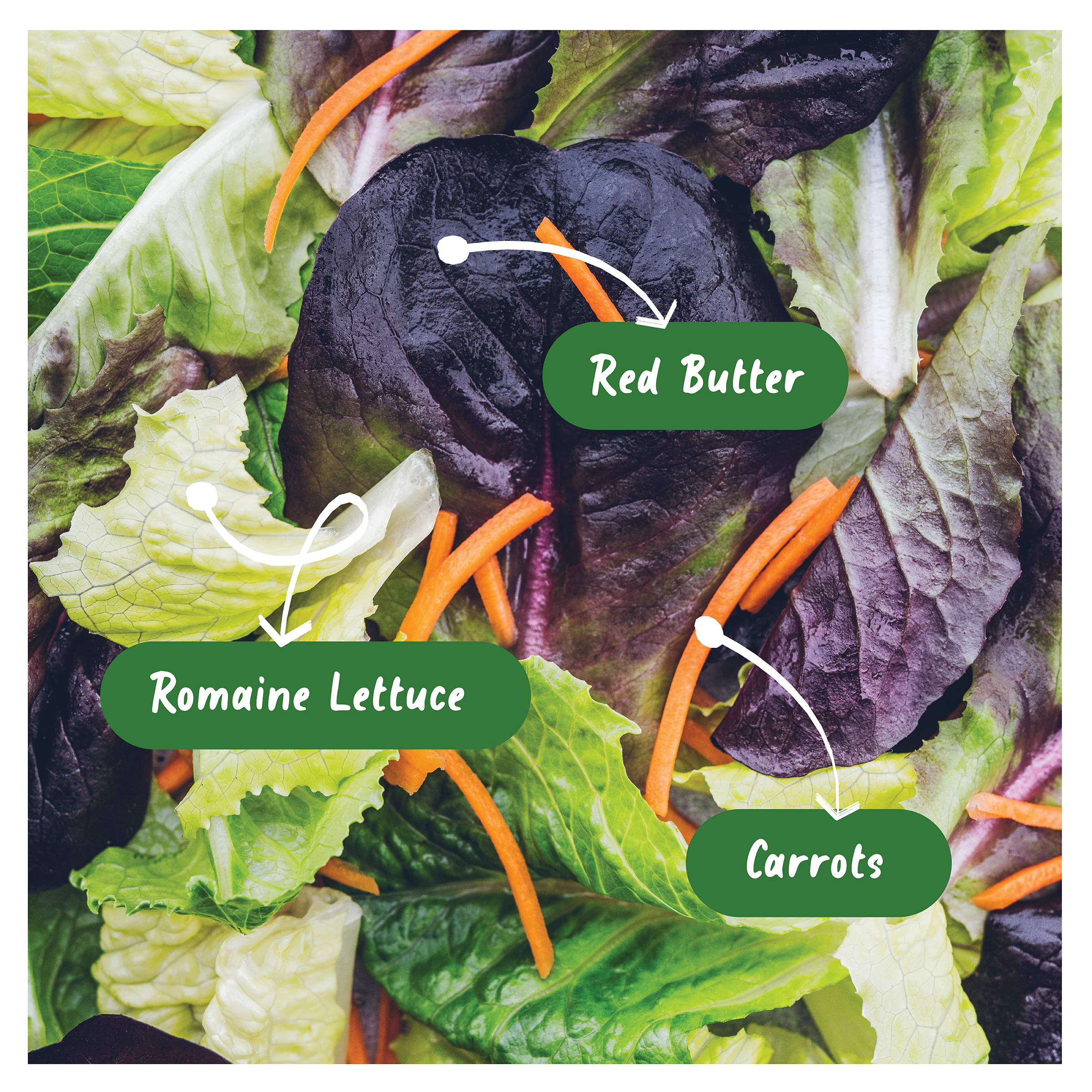 32601954307_ingredientlist
