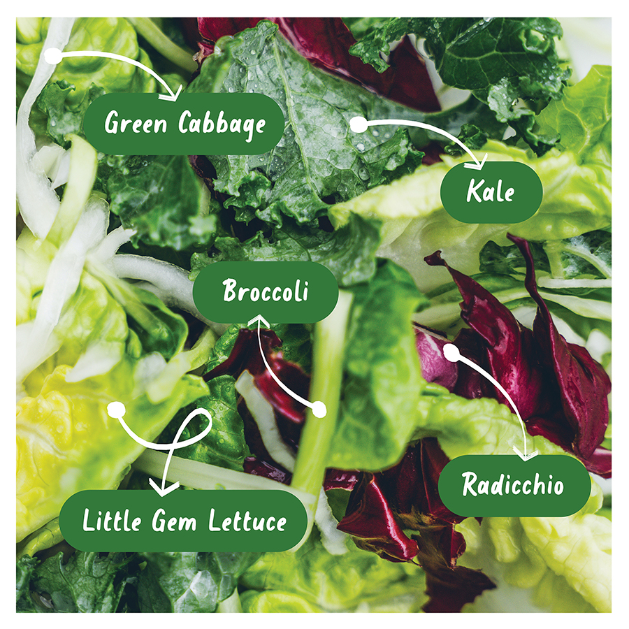 Ebf Little Gem Kale Crunch Ingrdients