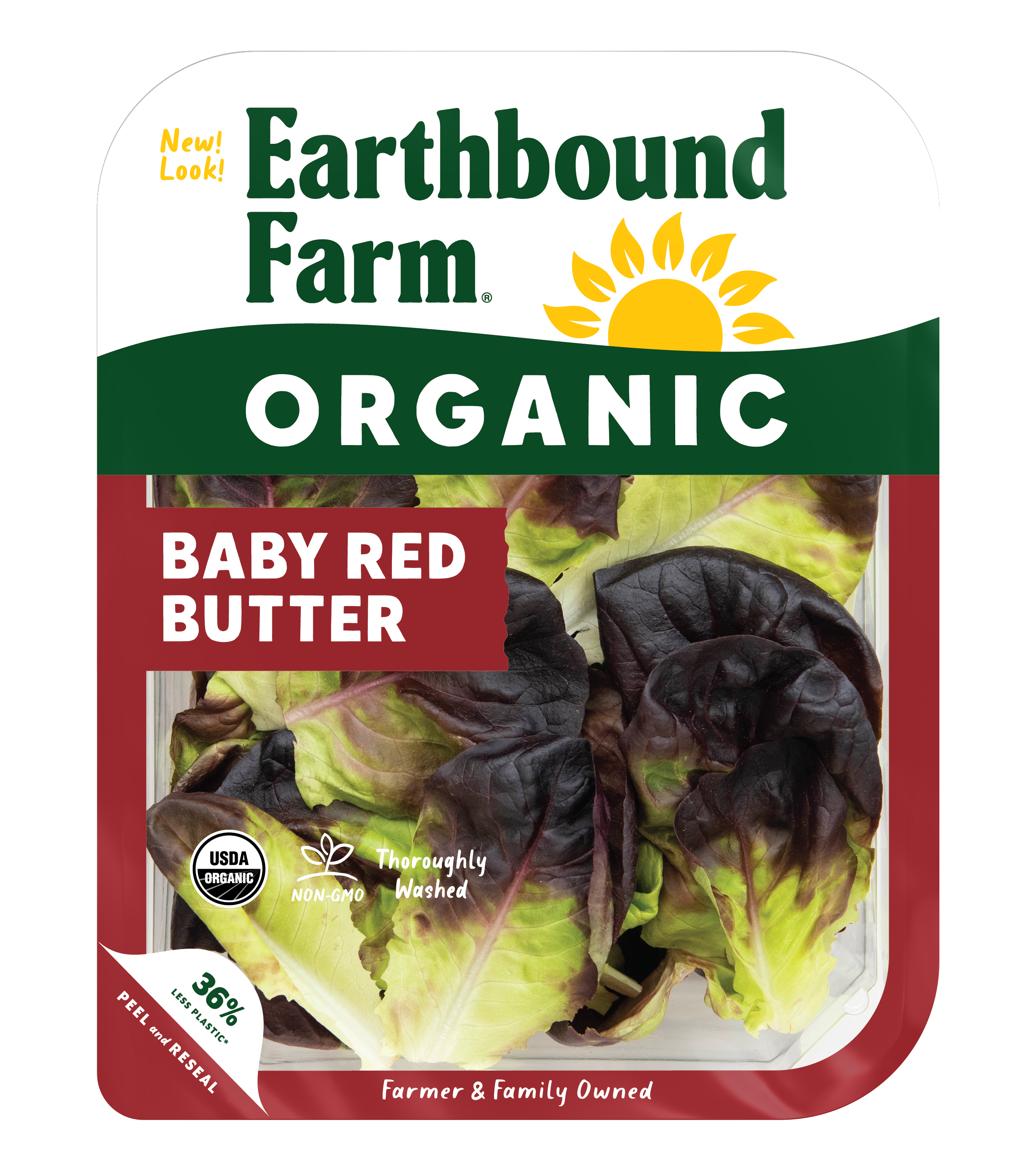 Organic Baby Red Butter Lettuce