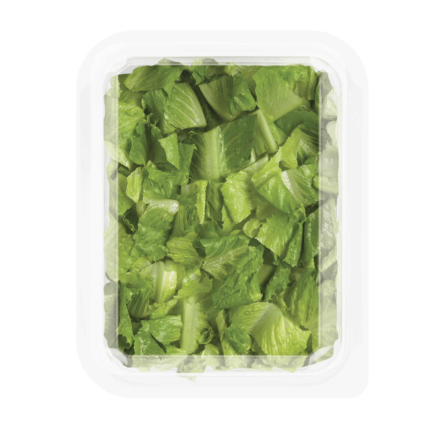 Ebf Chopped Romaine 8oz Pkg Bottom Syndigo 1