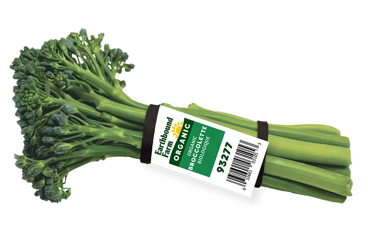 Ebf Broccolette Elastitag 1
