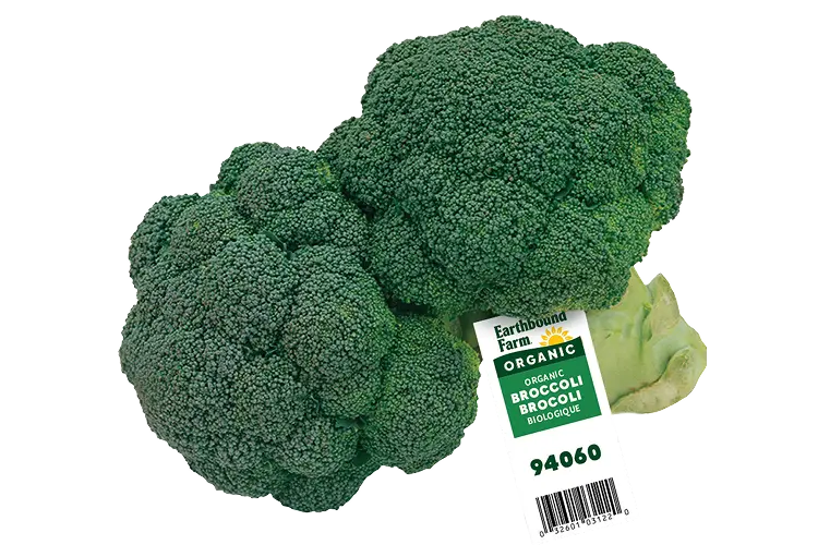 Ebf Broccoli Tag