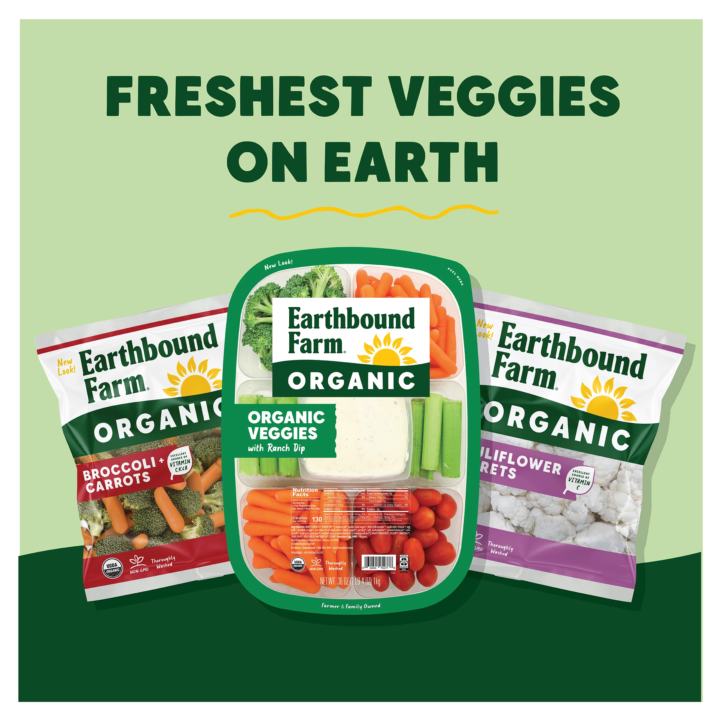 Ebf Veggie Tray Freshest Veggies 1